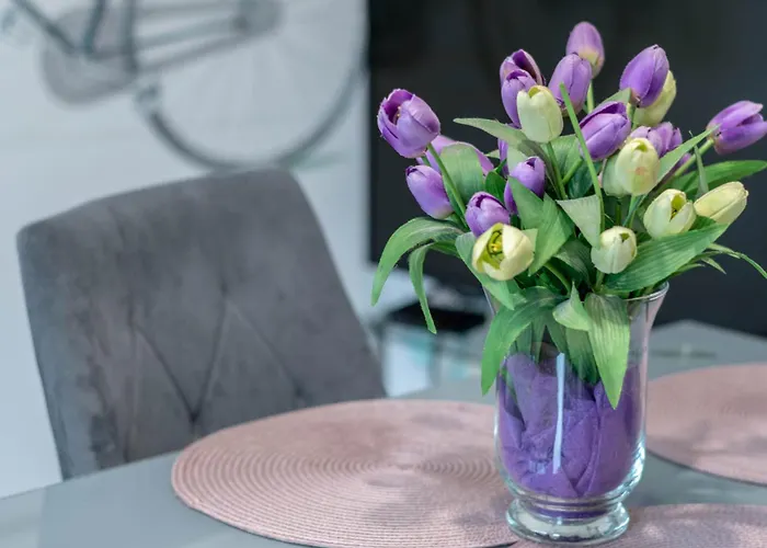 Zakatki Swiata 포즈난