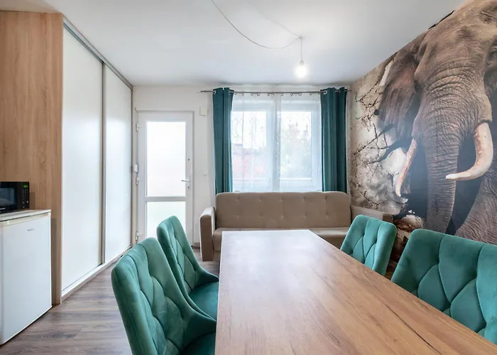 Zakatki Swiata * 포즈난